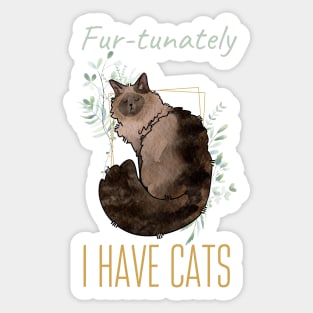 Fur-tunately, I have Cats - Balinese Cat - Cat Lovers Gifts Sticker